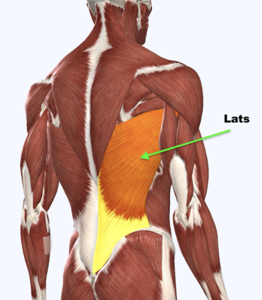 single arm lat pulldown 